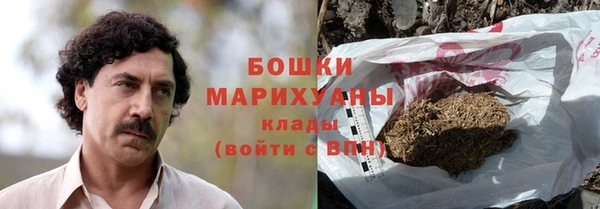 шишки Костерёво