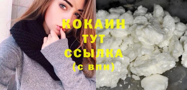 шишки Костерёво