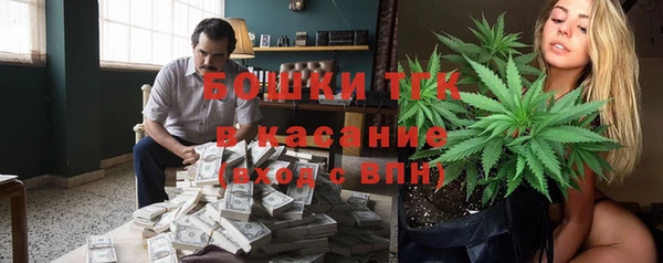 шишки Костерёво