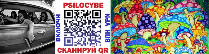 Купить  Мценск  Галлюциногенные грибы мицелий 